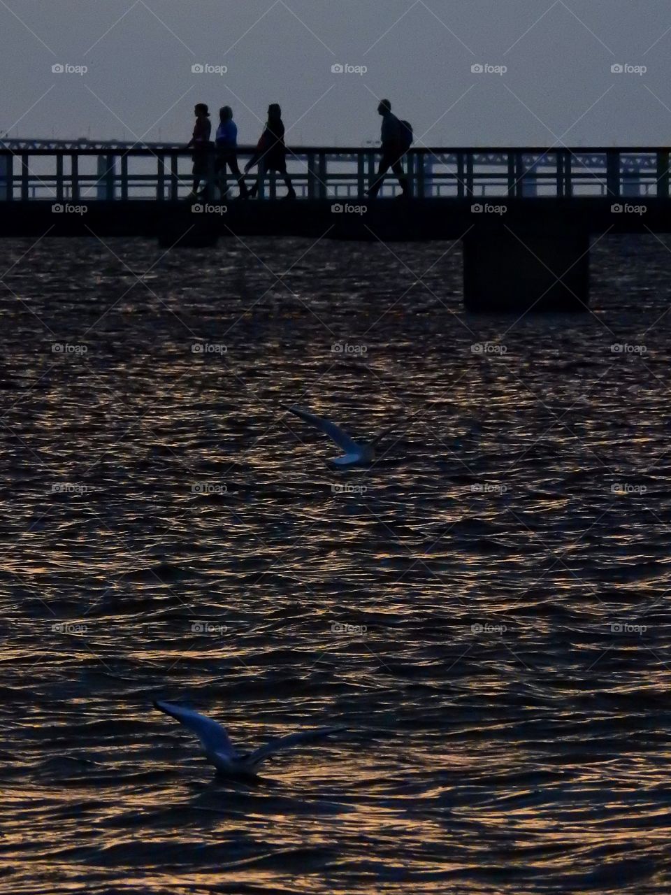 Water under the jetty