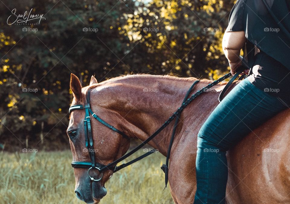 Old town road photo shoot. Horse out onto the farm