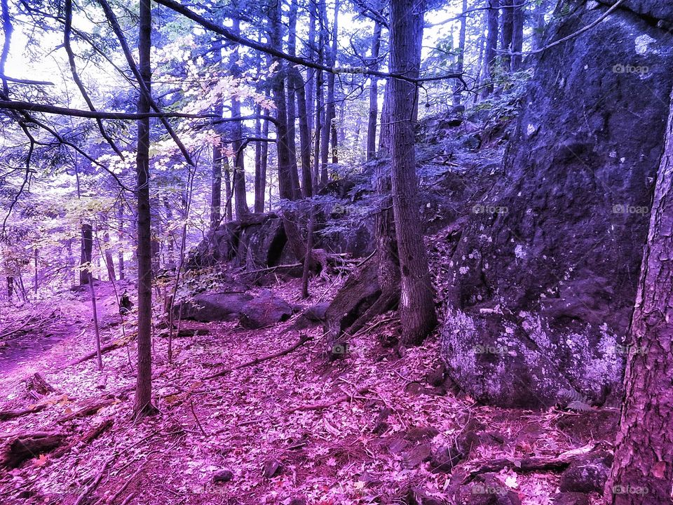 Hiking Rougemont Québec 