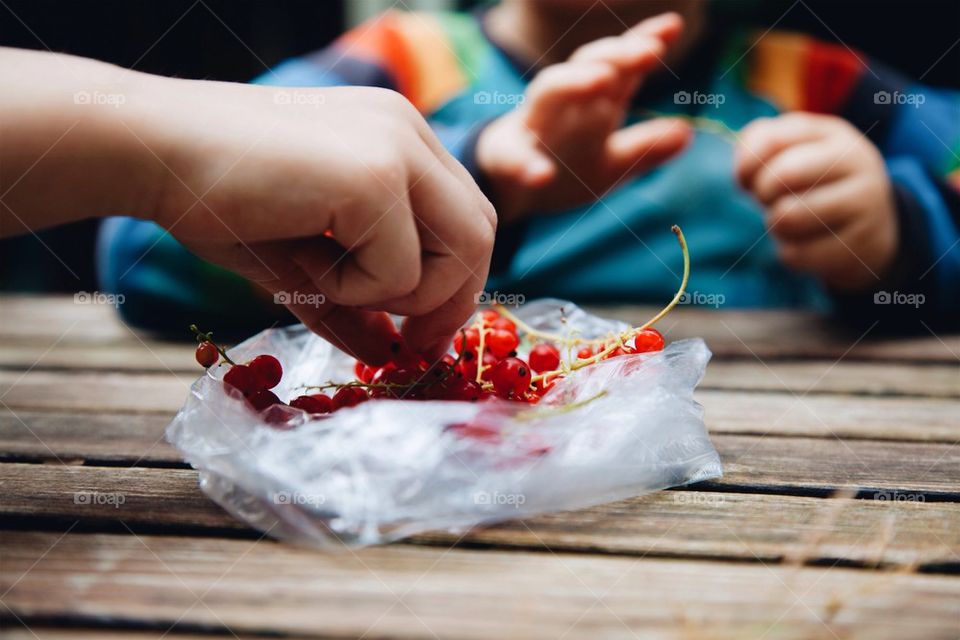 Picking berries