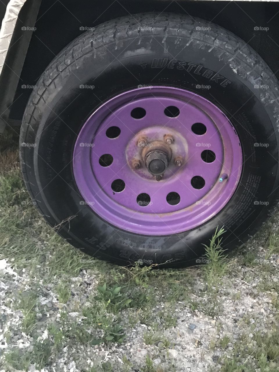 Purple trailer rim