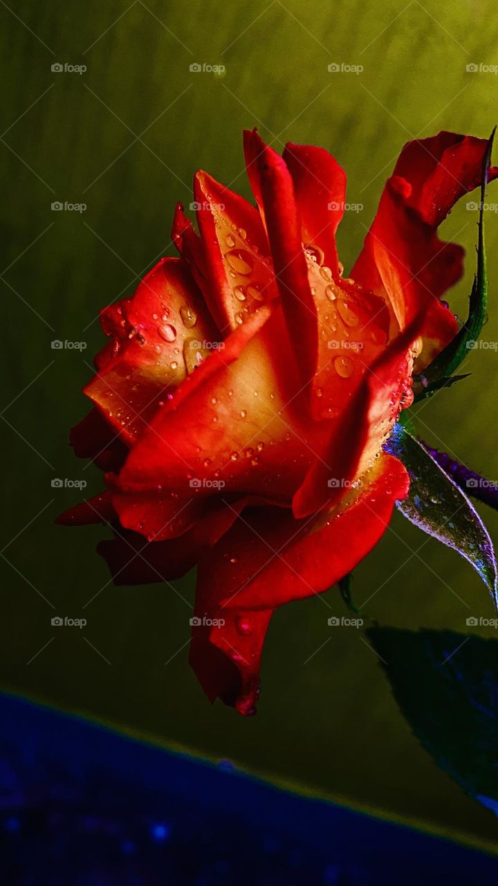 $300 amezing picture 