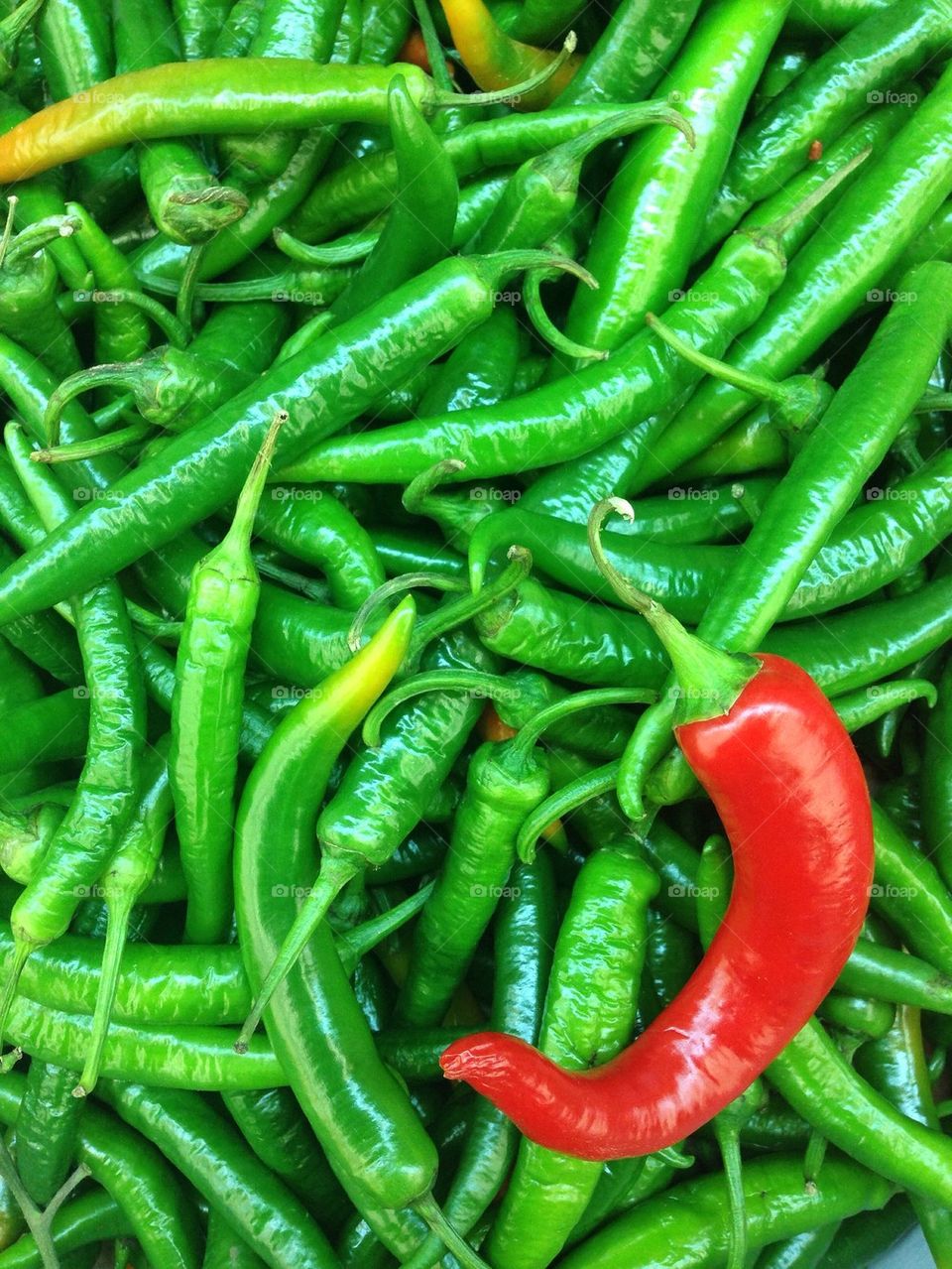 Red chilli on green chillies