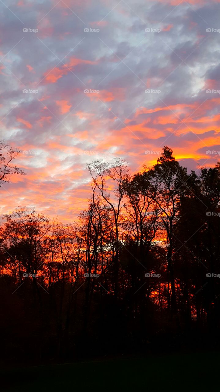 sunrise in the forest in autumn