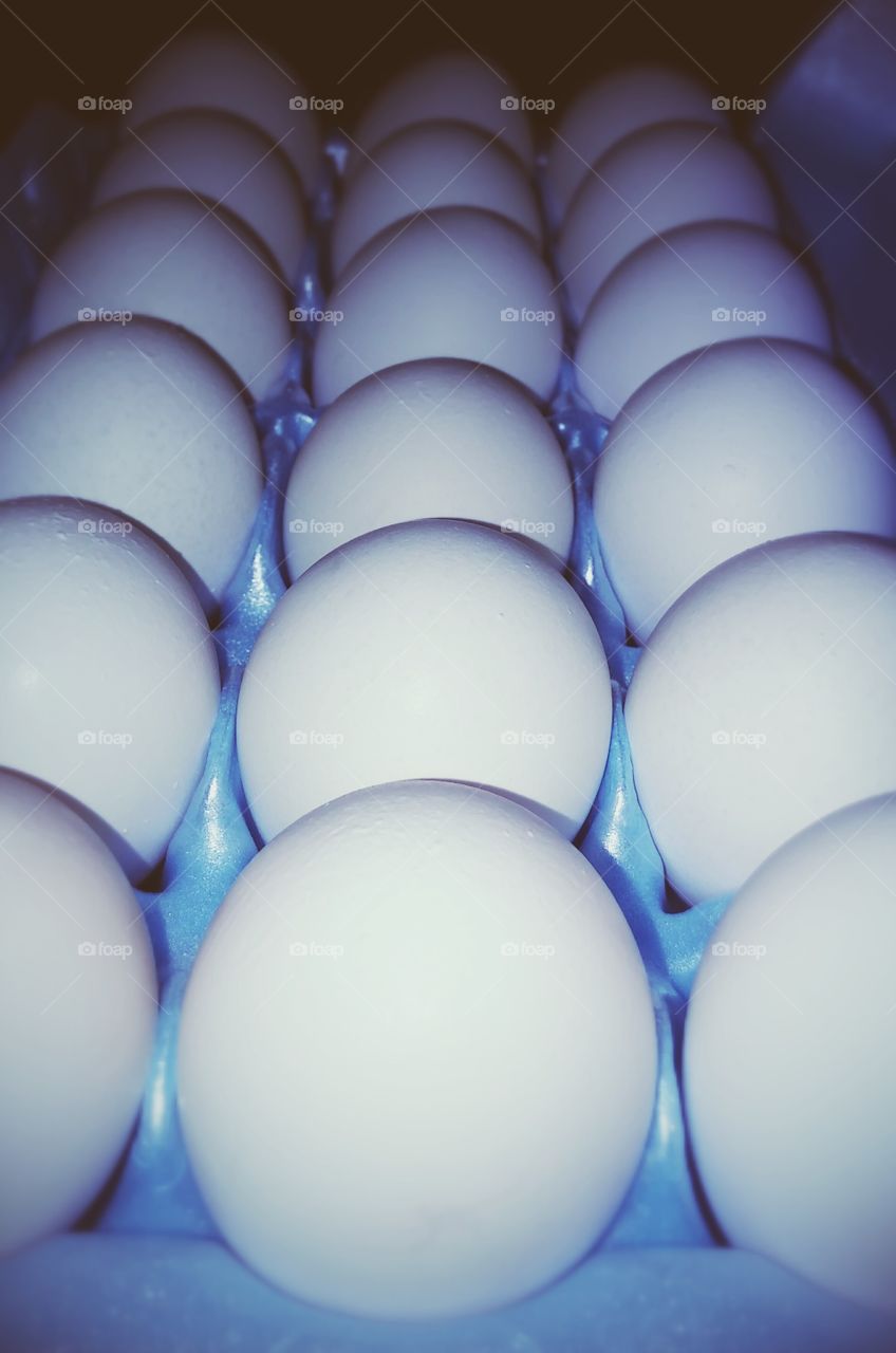 A carton of eggs