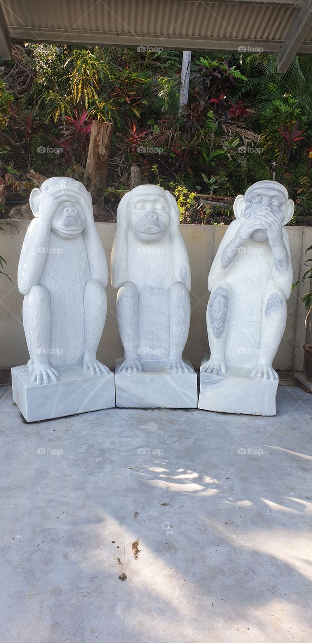 see no evil, hear no evil, speak no evil