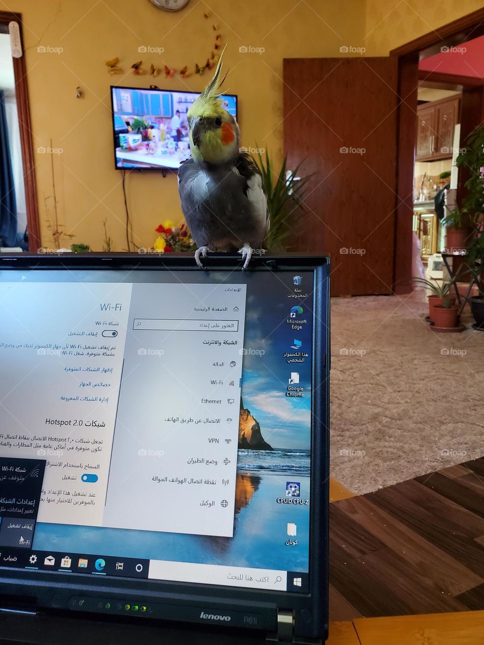 My little friend Max