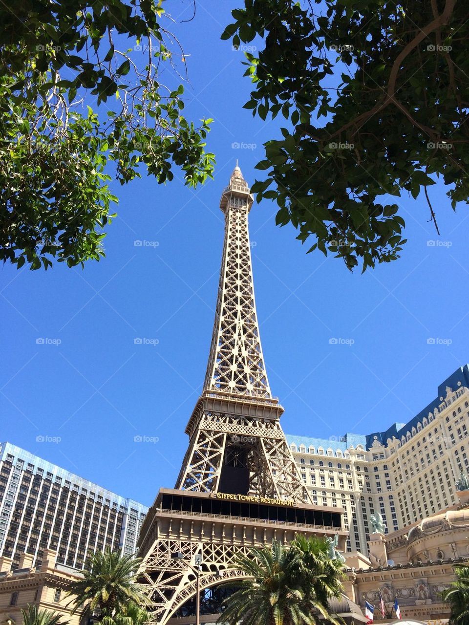 Paris Hotel, Las Vegas