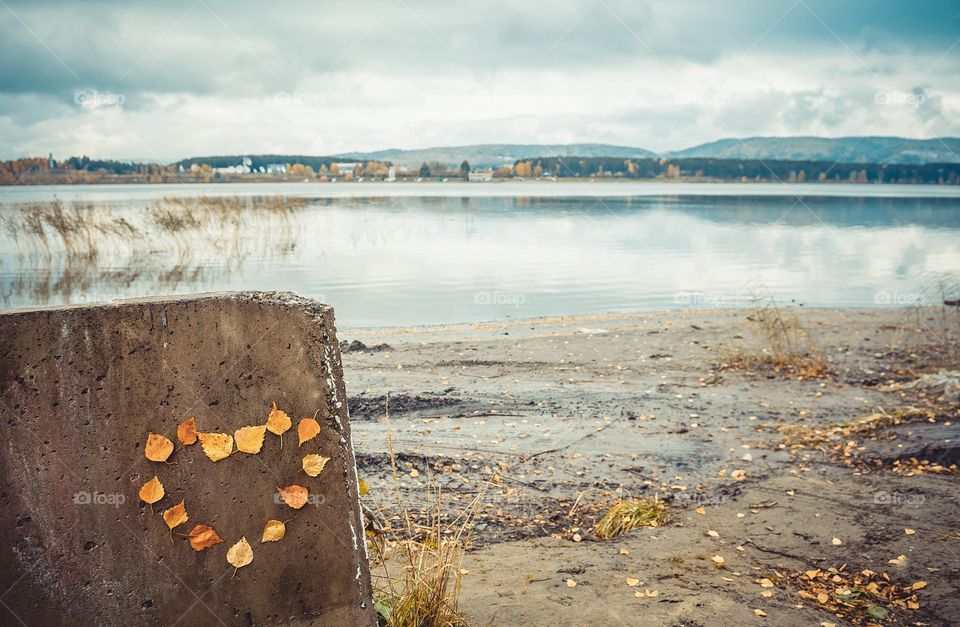 View of leaves forming heart shape on rock