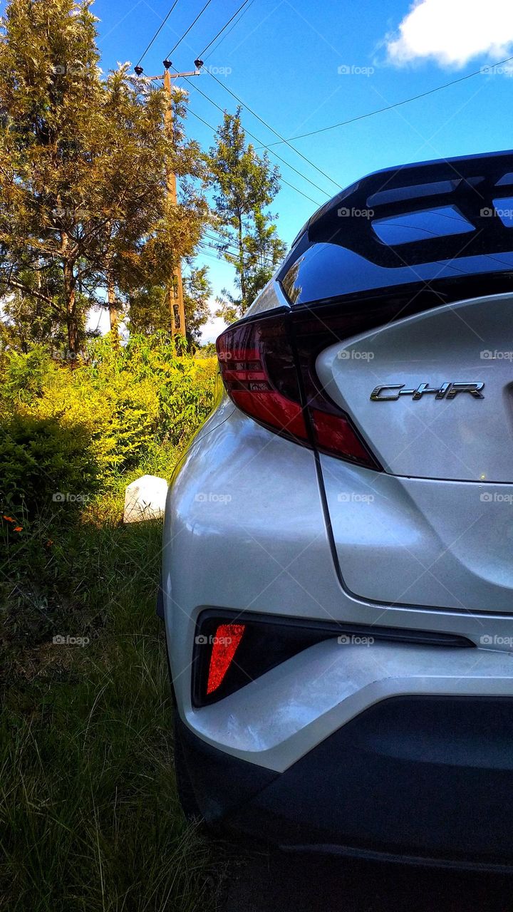 Rear side of the C-HR car