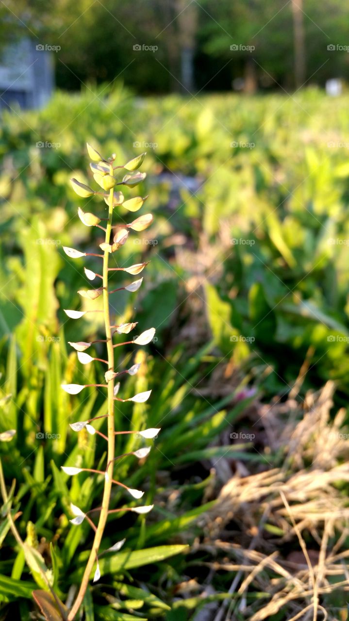 Stand out from the crowd