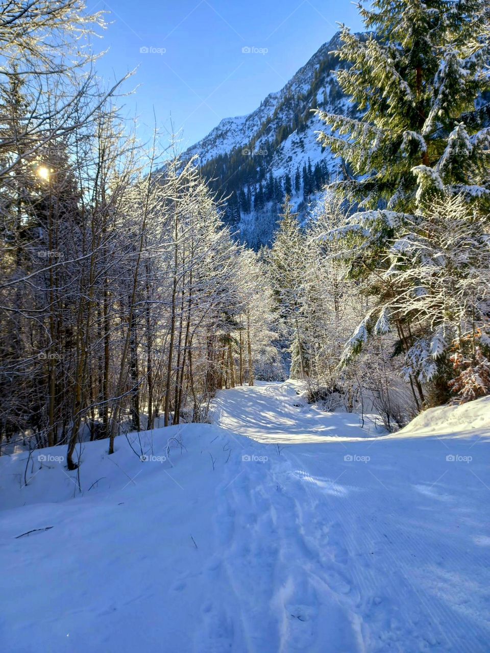 Trail in the Snowy Mountains