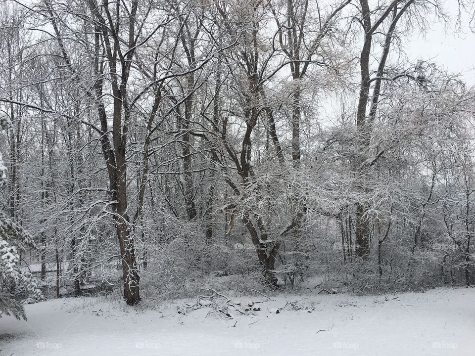 Wintertime in Upstate NY. 