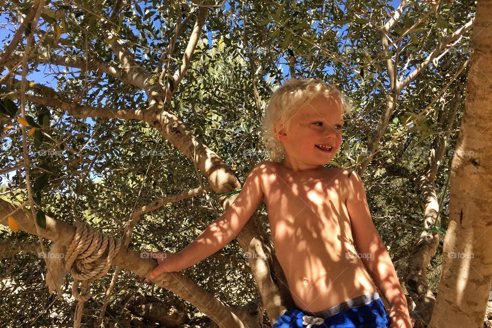 Boy in a tree