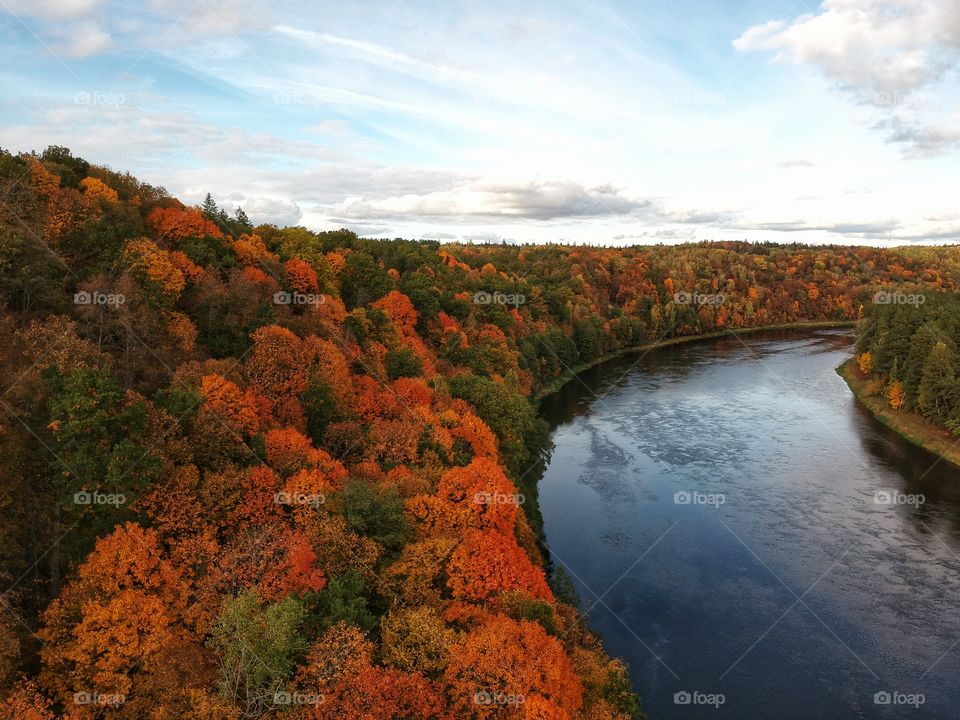 Beautiful and colorful forest next to the river in autumn. The photo was taken with a drone.