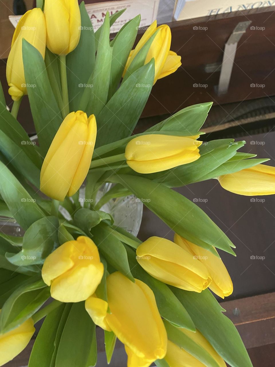 Tulips 