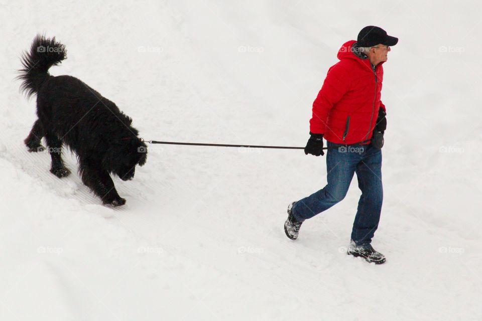 Man Walks His Dog In The Snow