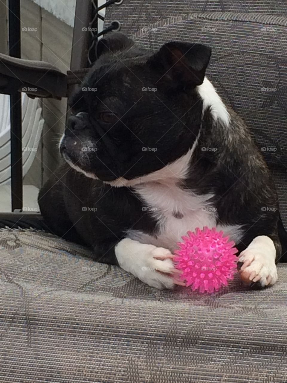 Guarding my ball! 
