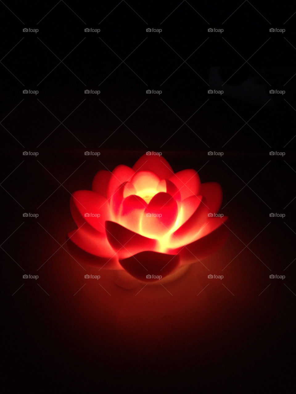 light red night lotus by sbriant