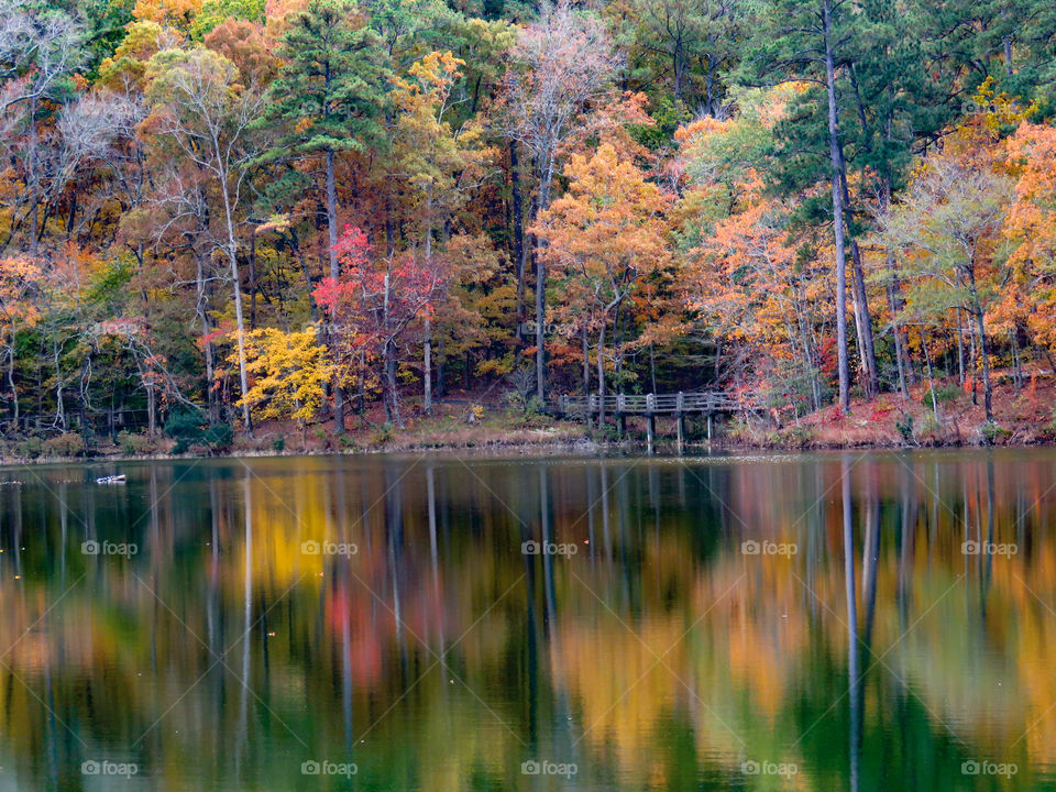 Fall colors in Callaway Gardens