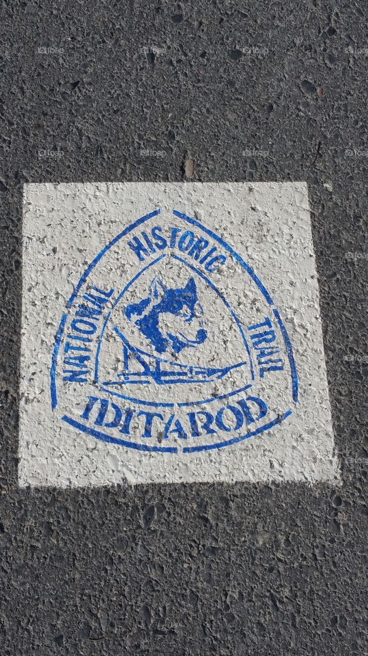 Iditarod