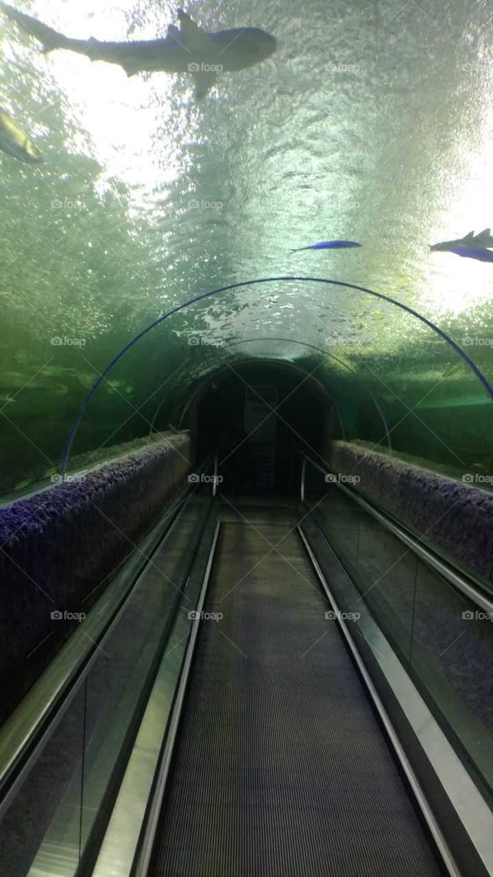 underwater tunnel water land Colombo Sri Lanka