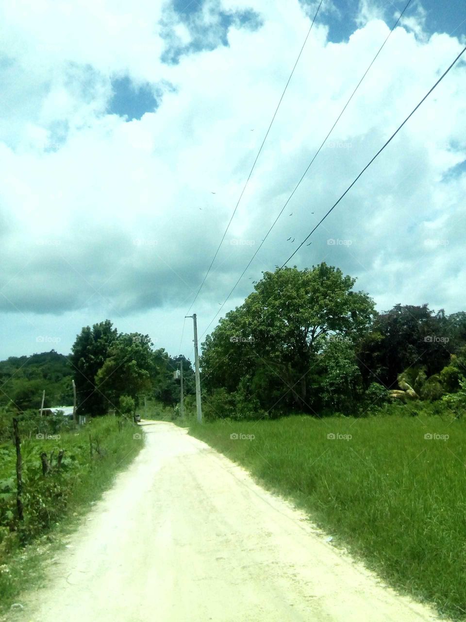maybe many people have not see how beautiful this picture looking at the road and the grass