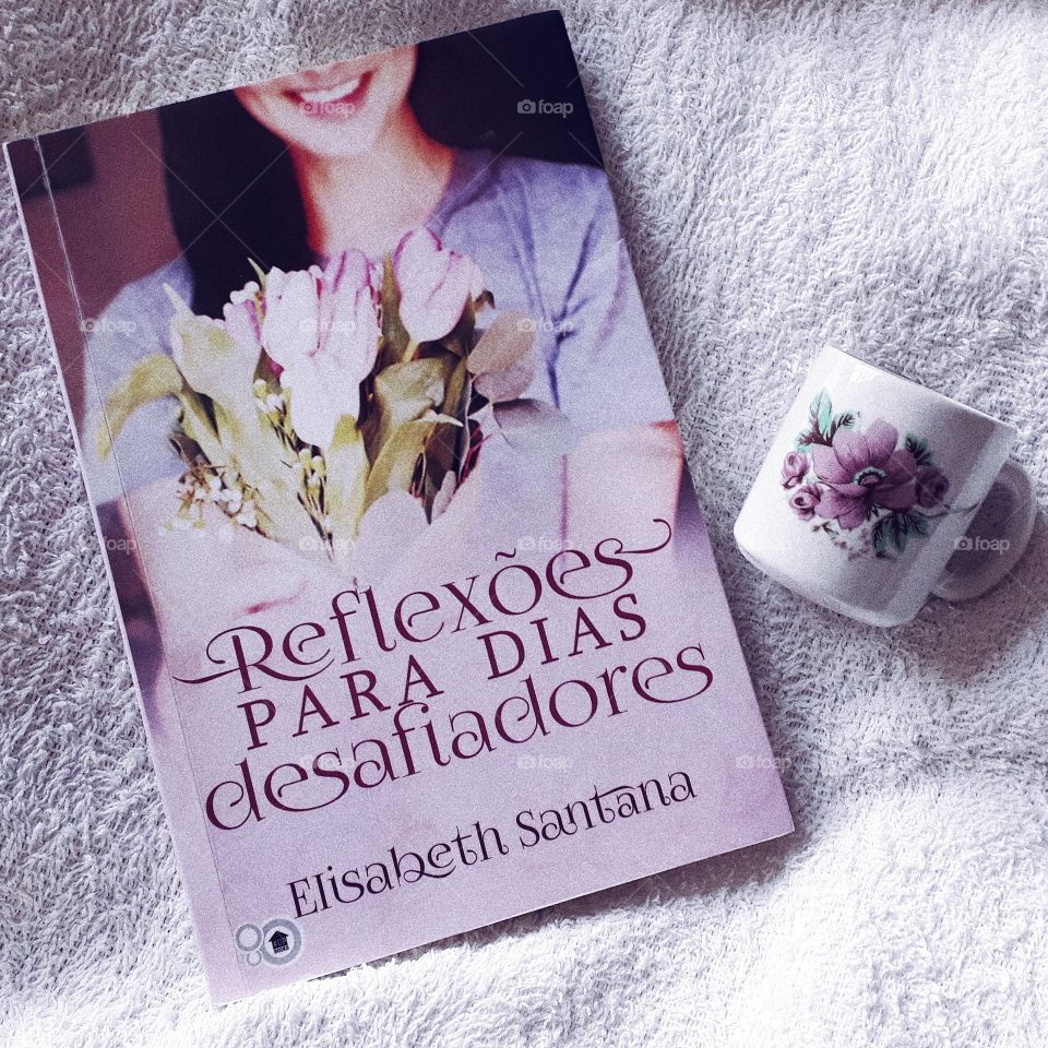 Reflexões para dias Desafiadores Elisabeth Santana