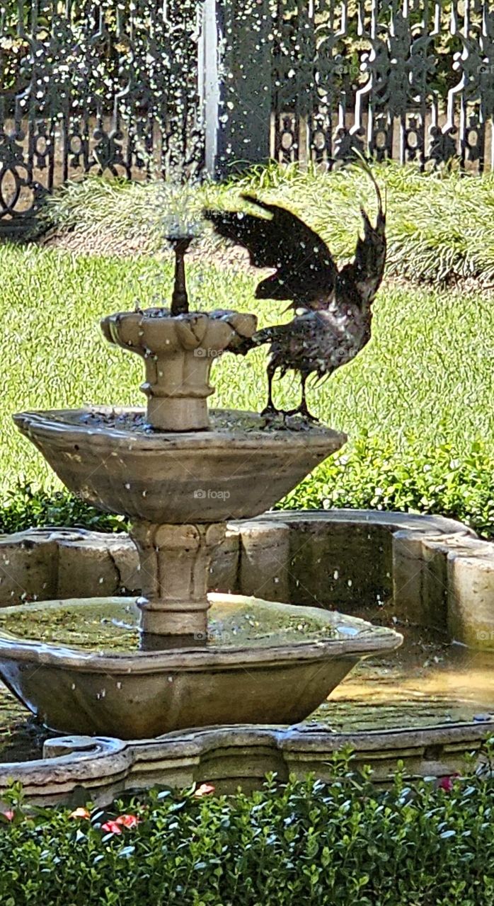 inside palace Topkapi