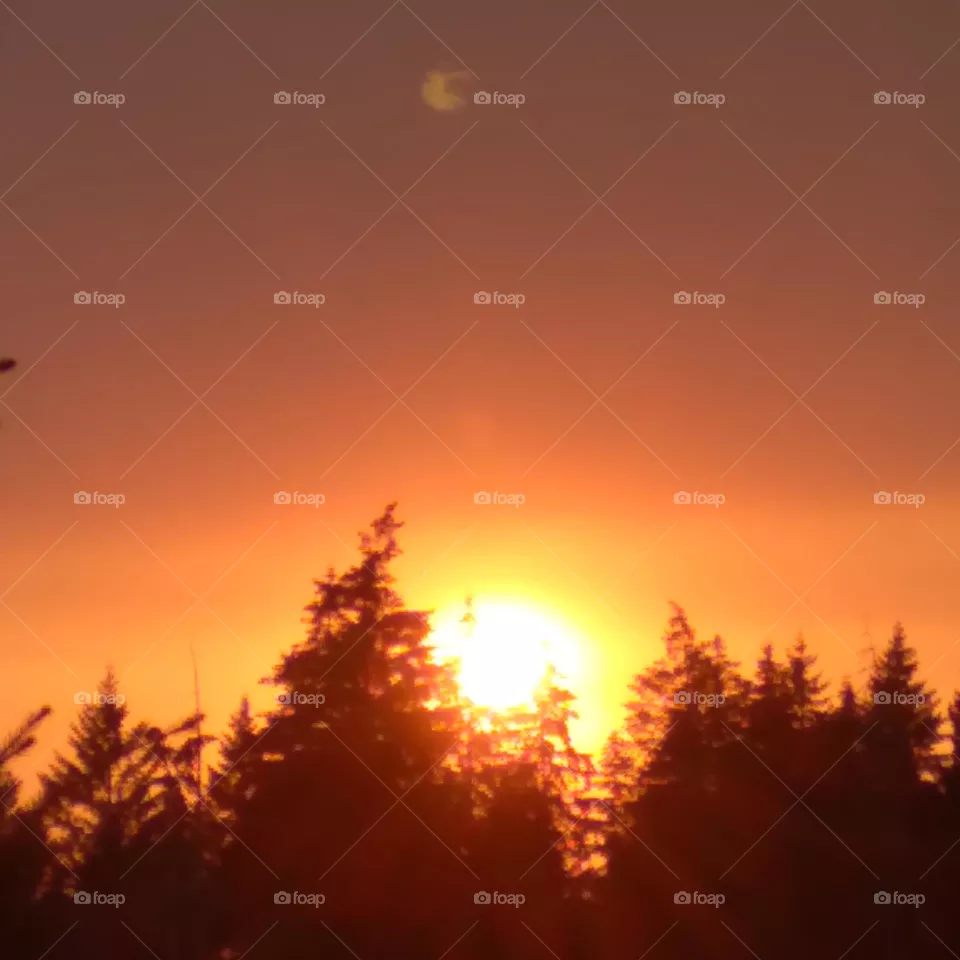 Sun slowly slipping below the trees, creating a colorful image in red, orange, and yellow.