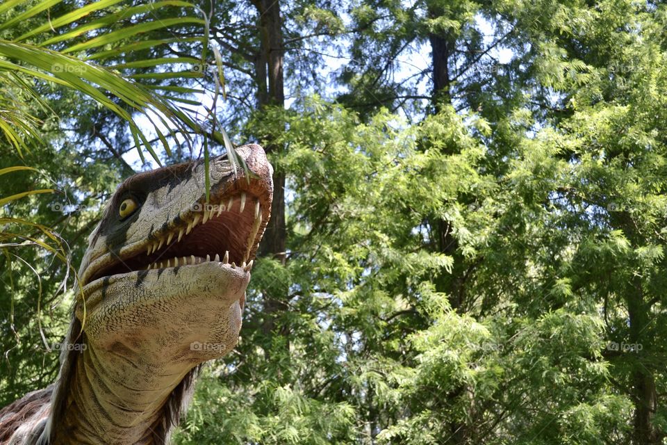Head of dinosaur in natural surroundings at zoo. 