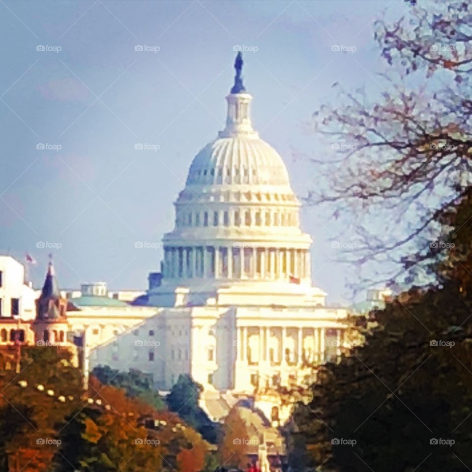 Capitol, Administration, Congress, Architecture, Capital