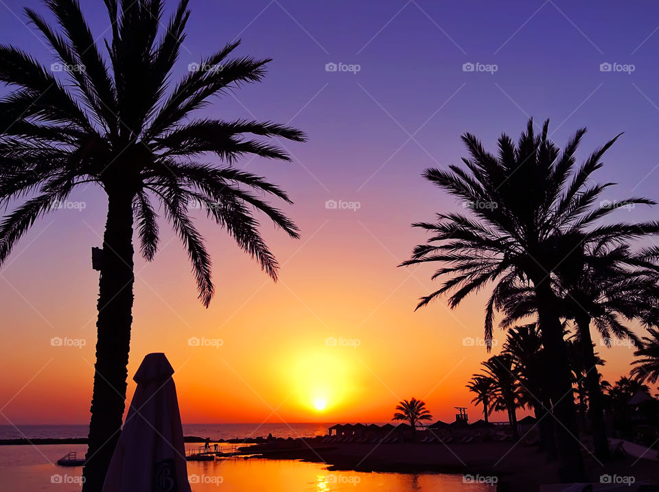 Palm trees silhouettes in front of beautiful tropical sunset above the beach 