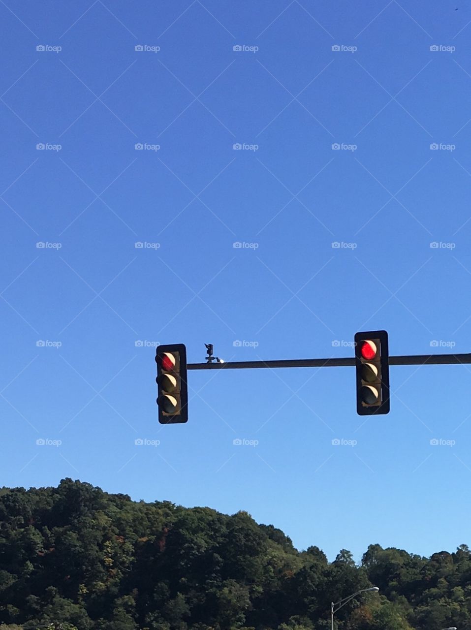 Traffic lights and camera 