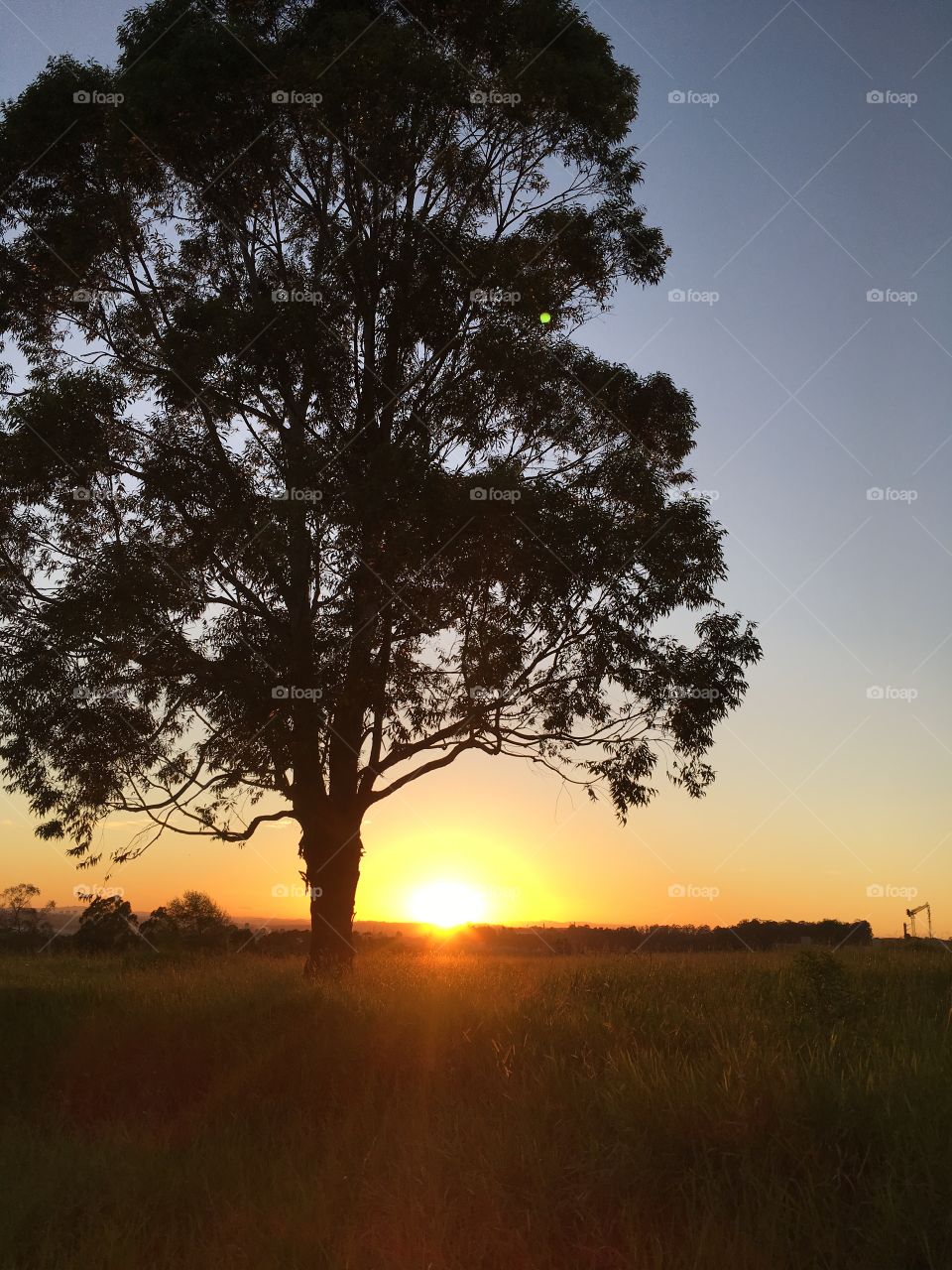 Linda paisagem do amanhecer em
Jundiaí-SP (Brasil)