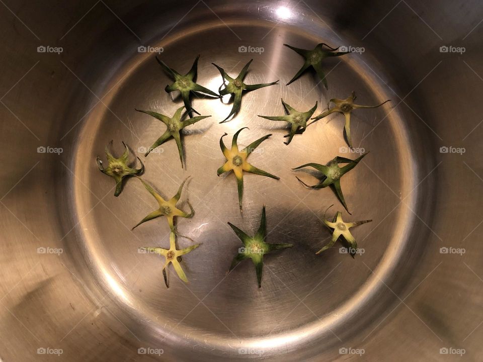 The outstanding beauty of tomato sepals
The world is abundant with fractals.
One might wonder at the striking resemblance between sepals, starfish, and flowers, among other things.