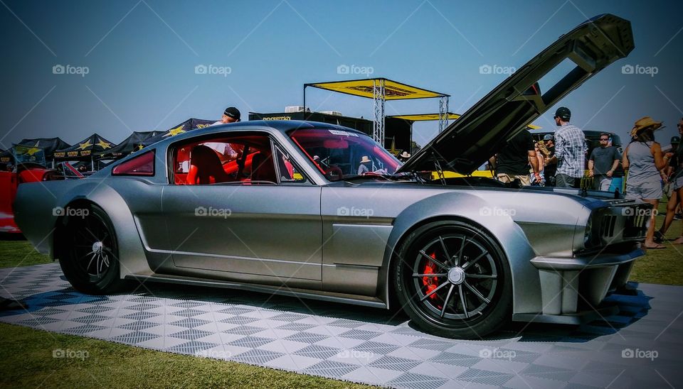 1965 Mustang Viscoustang