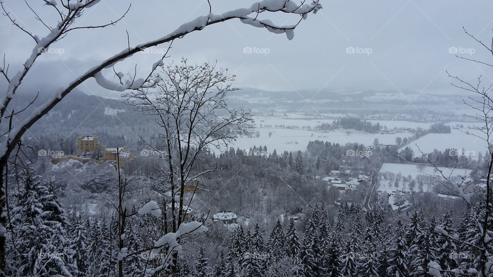 Winter, Snow, Tree, Landscape, Wood