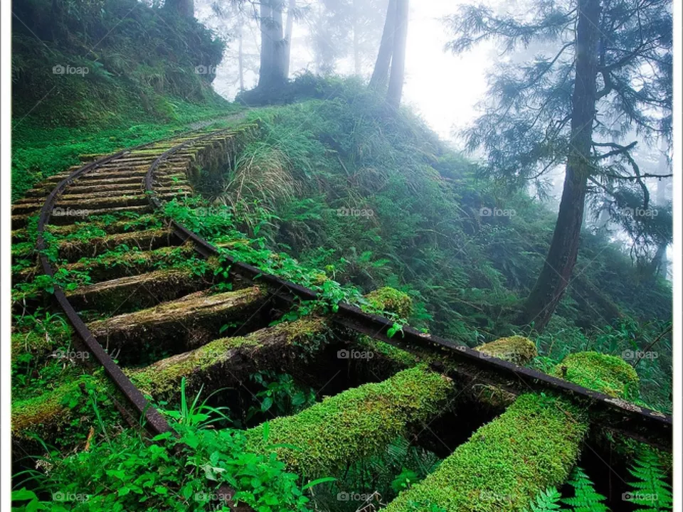 Old Railroad