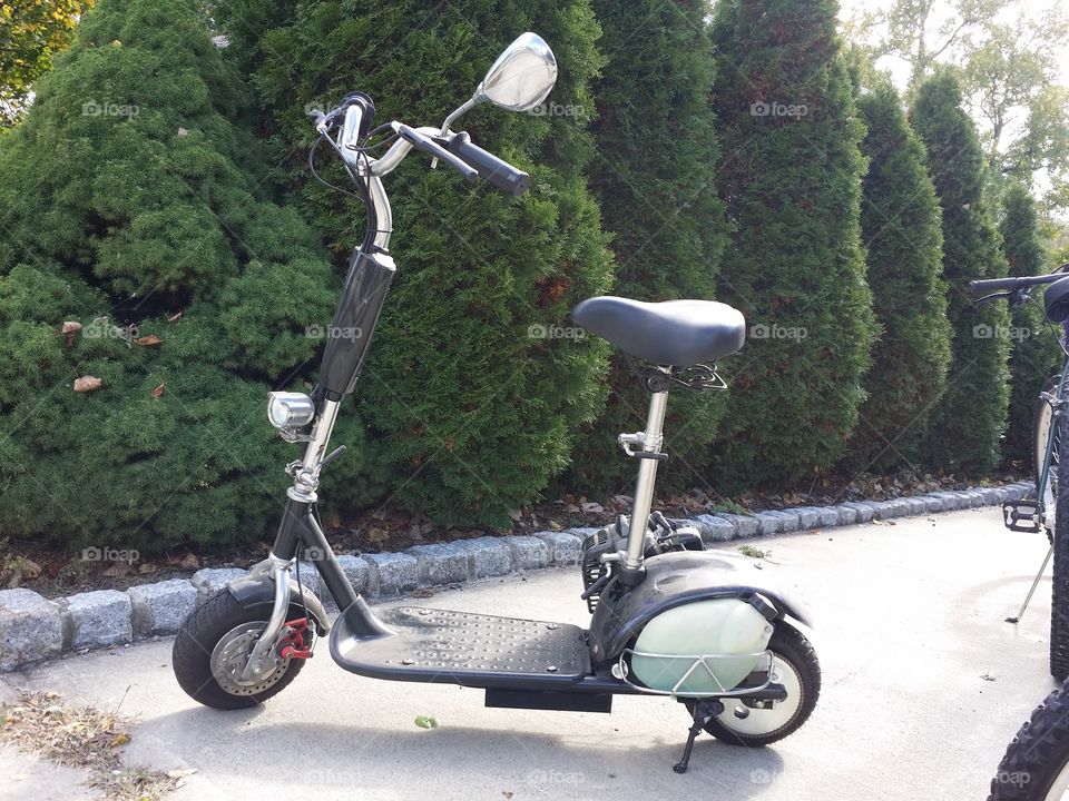 Gas Powered Scooter