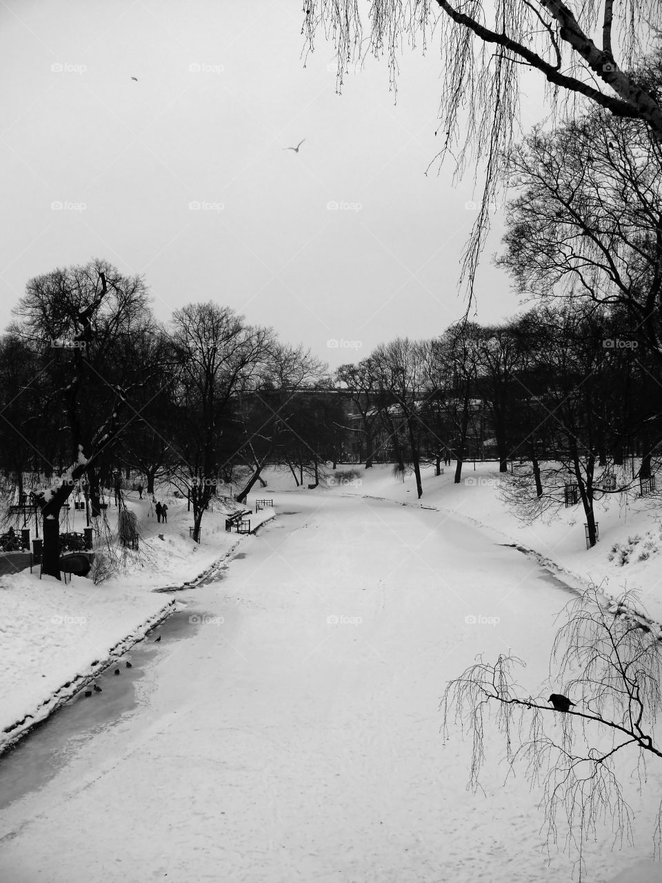 Black and white shot of Riga's outdoors during winter.