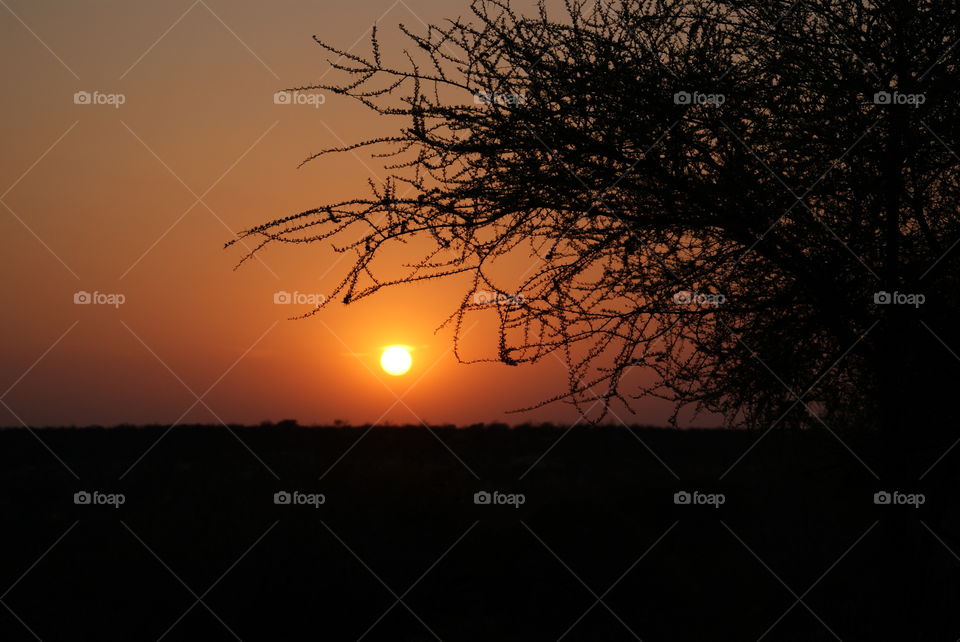 sunset while camping