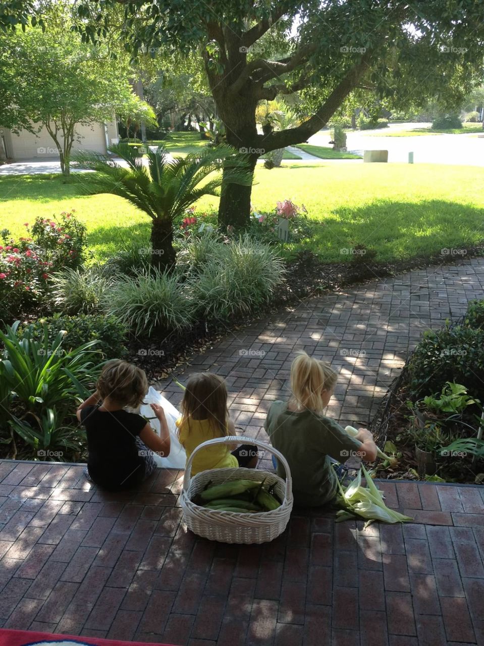 Children shucking corn