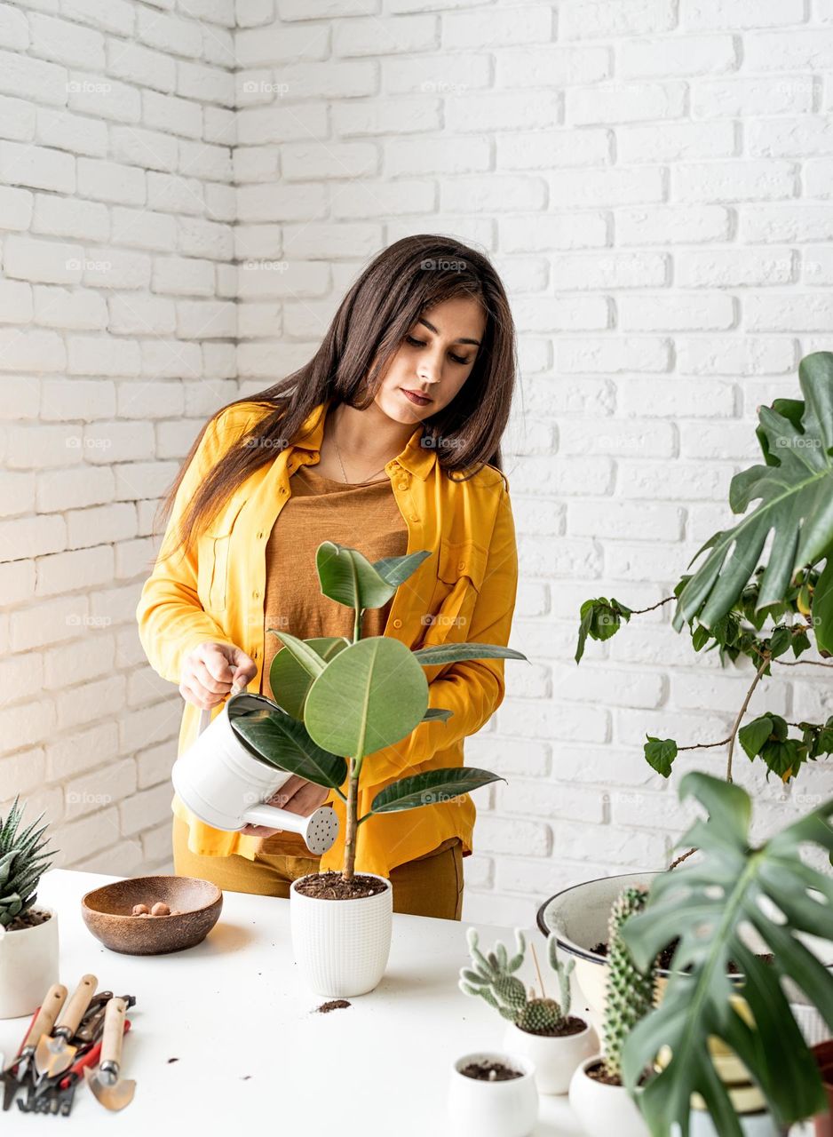 woman planting plant