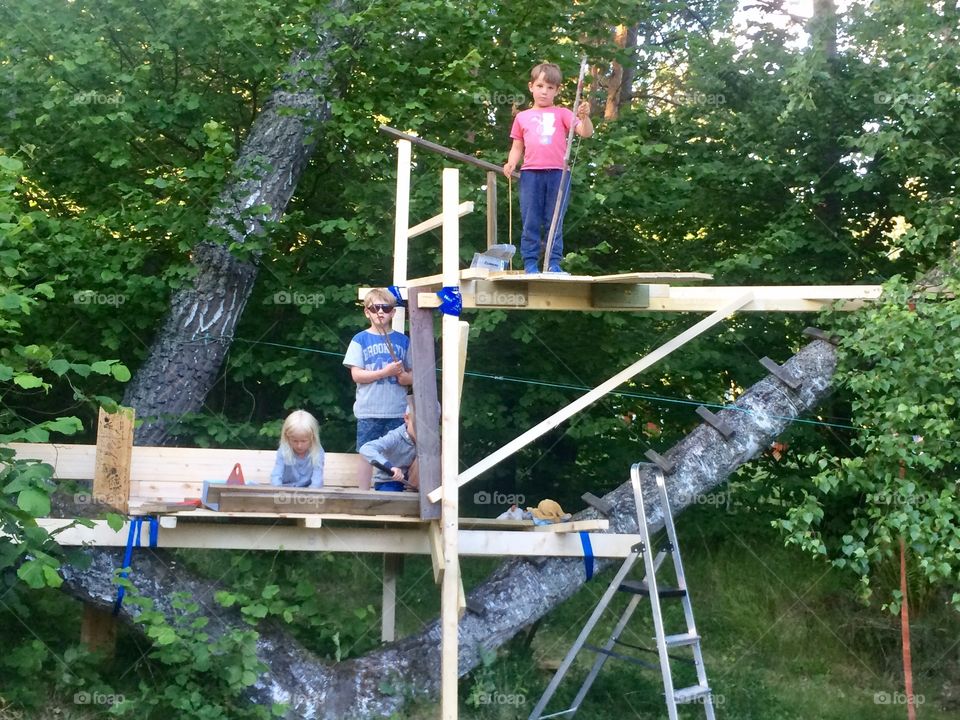 Kids building treehouse 