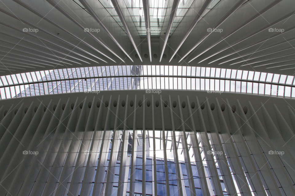 Window ceiling of the WTC train station, NY
