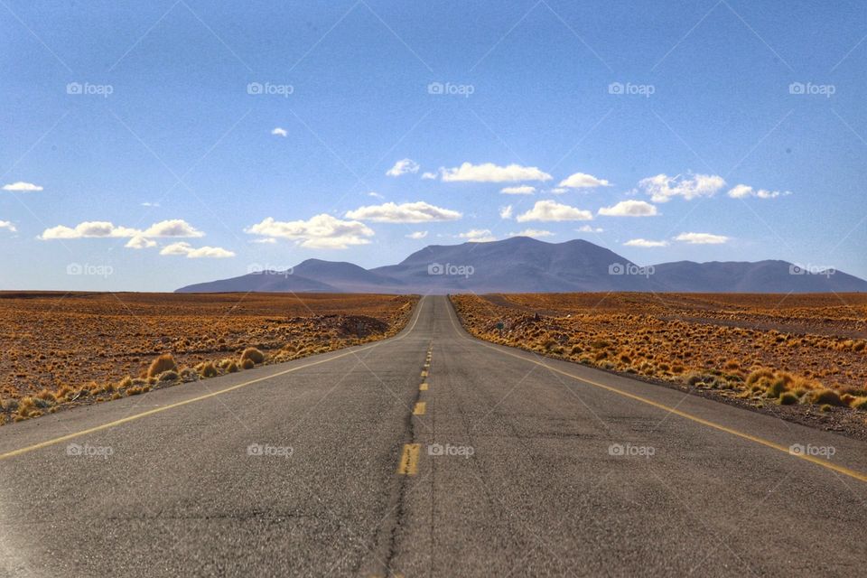 empty road in the desert