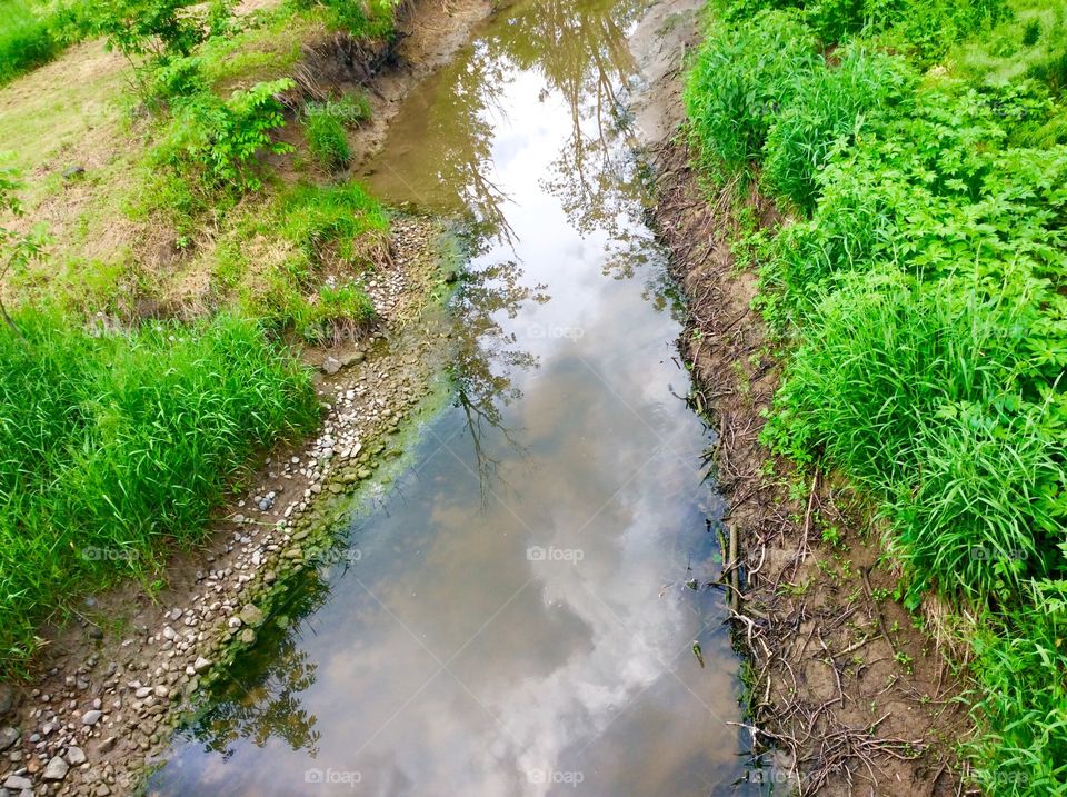Elevated view of stream