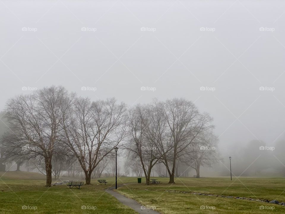 A walking path thru a neighborhood on a foggy winter morning