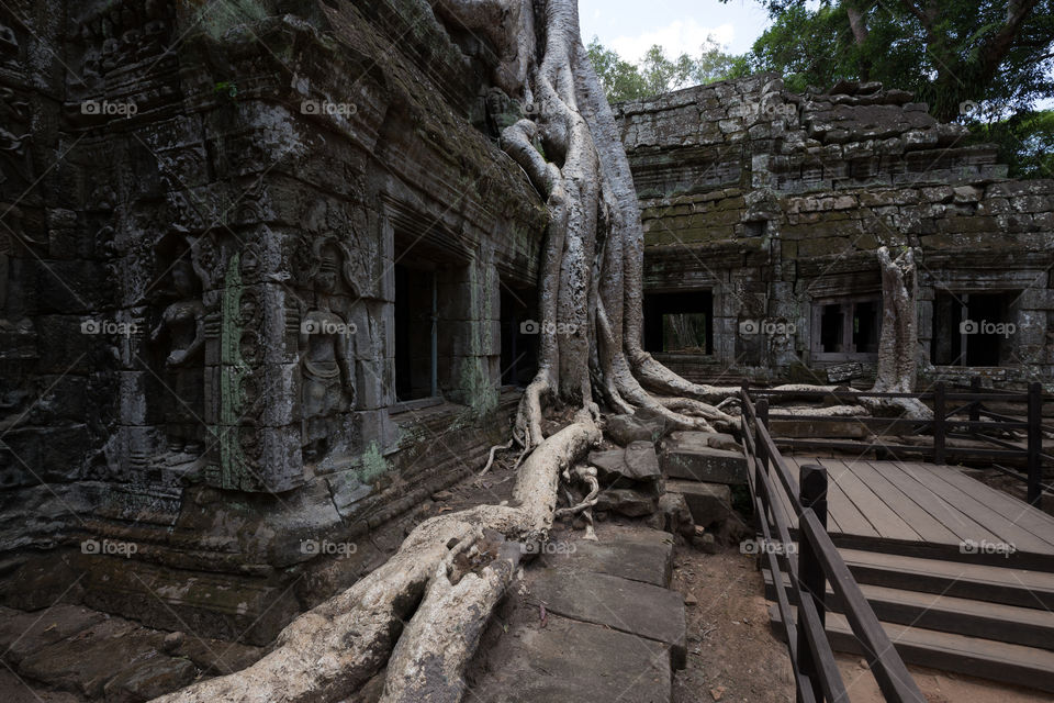 Ta Prohm temple in Siem reap Cambodia 